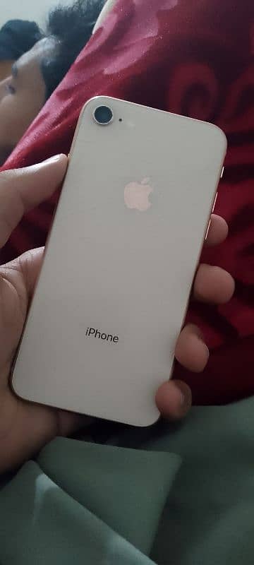 IPHONE 8 (03196010194) 5