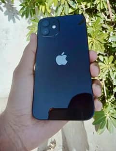 iphone 12 non pta