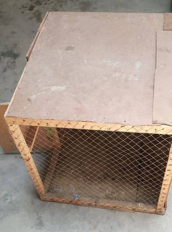 Hen Cage for sale 0