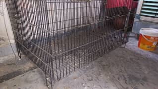 cage for sale ring nick