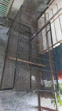 cage for sale raw parrot