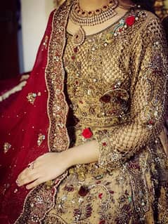 bridal lehnga all ok red skin