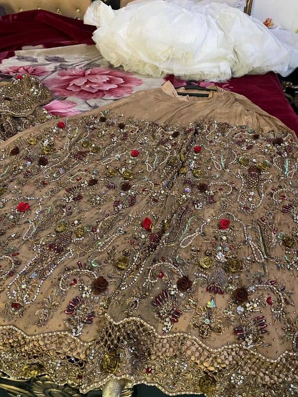 bridal lehnga all ok red skin 2