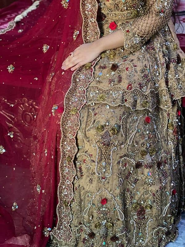 bridal lehnga all ok red skin 3