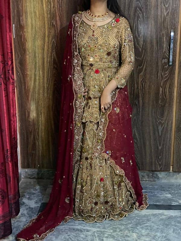 bridal lehnga all ok red skin 6