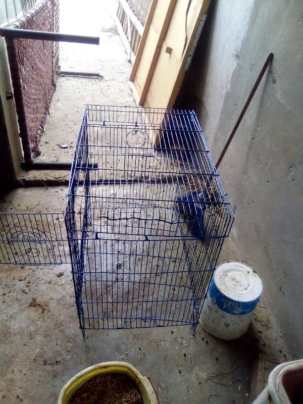 folding cage good condition 10/10 mote tar ma ha contact 03194461501 0