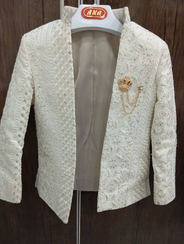 prince coat with golden brooch. 0