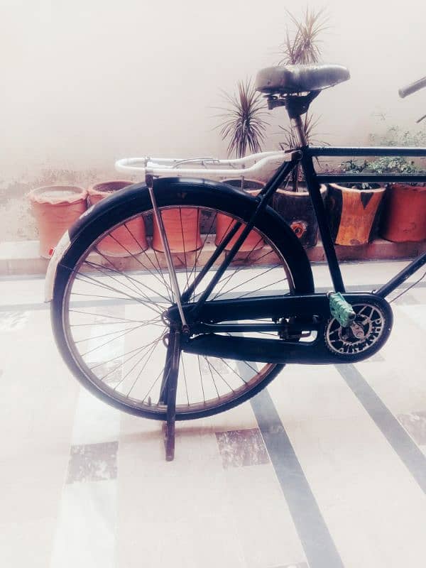 premium Brand Chinese Cycle 2