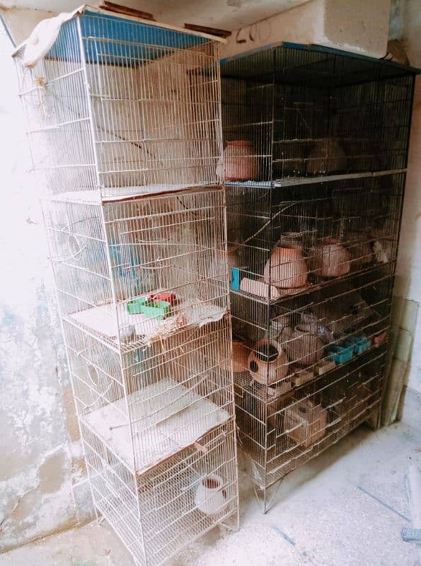 Big Cage's for sale 3