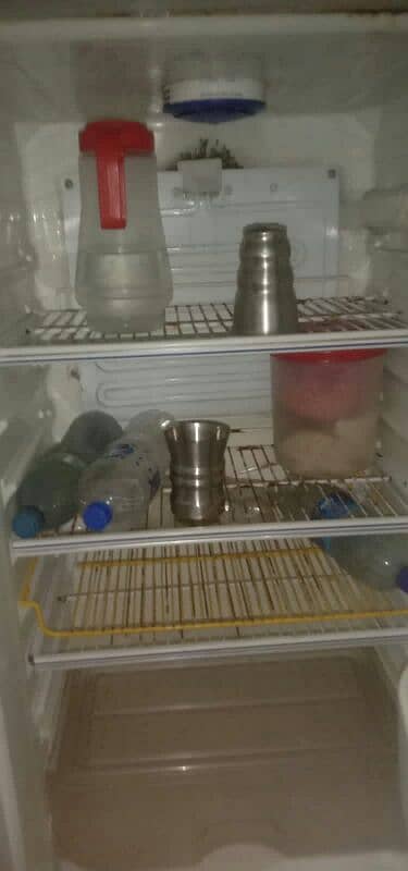 fridge 1