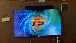 samsung smart 55 inch - Panel Broken