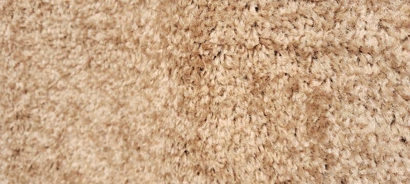 brand new carpet urgent for sale. 2