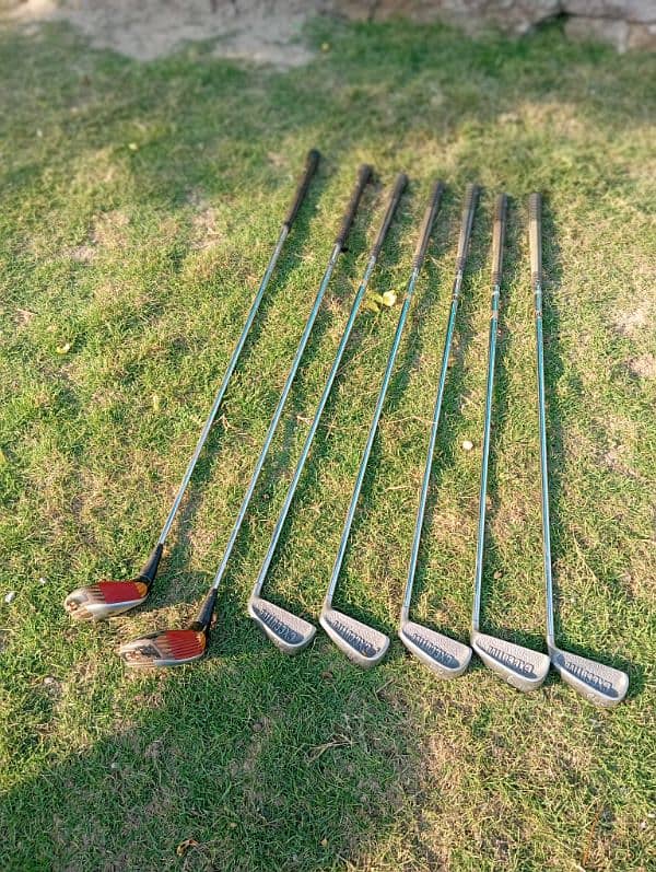 Executive Golf club stock 0