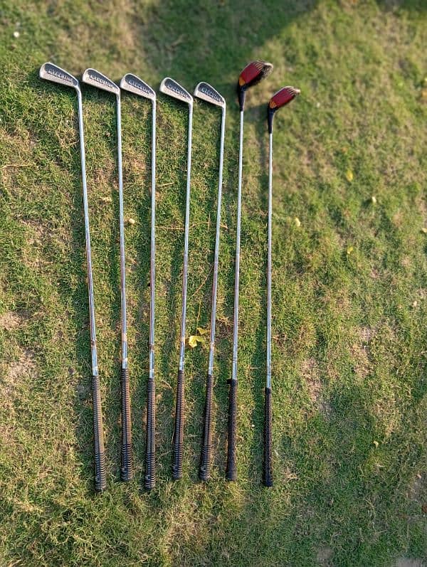 Executive Golf club stock 1