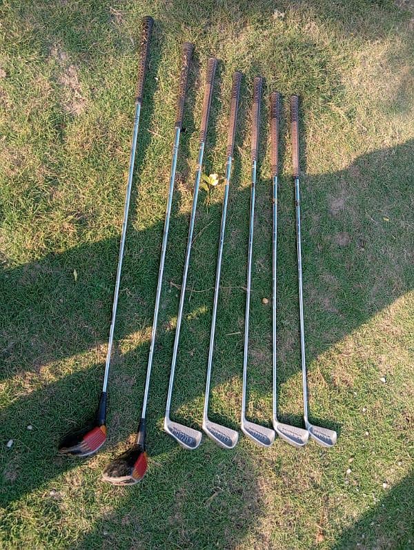 Executive Golf club stock 3