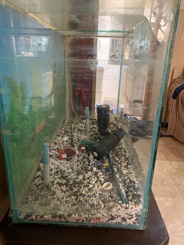 Aquarium 24 height 36 long scerich less mirror and good qualty mirror 4