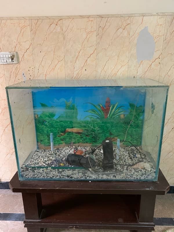 Aquarium 24 height 36 long scerich less mirror and good qualty mirror 5