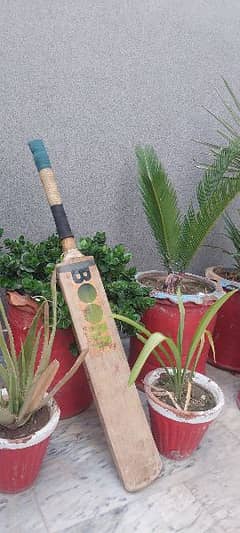 Professional Hard Ball bat