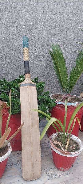 Professional Hard Ball bat 2