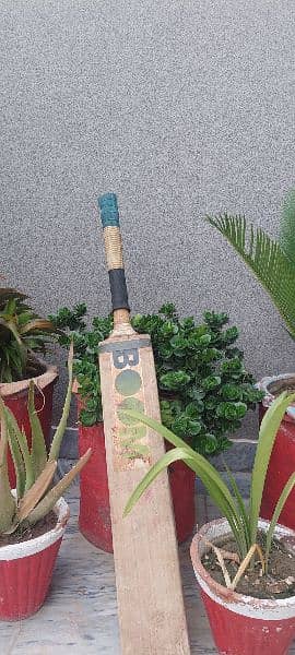 Professional Hard Ball bat 3