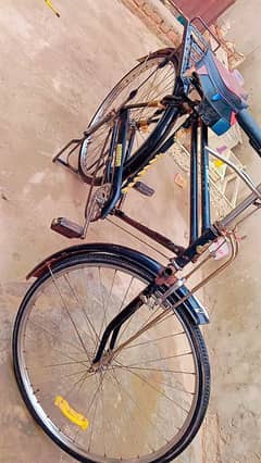 Cycle for sale