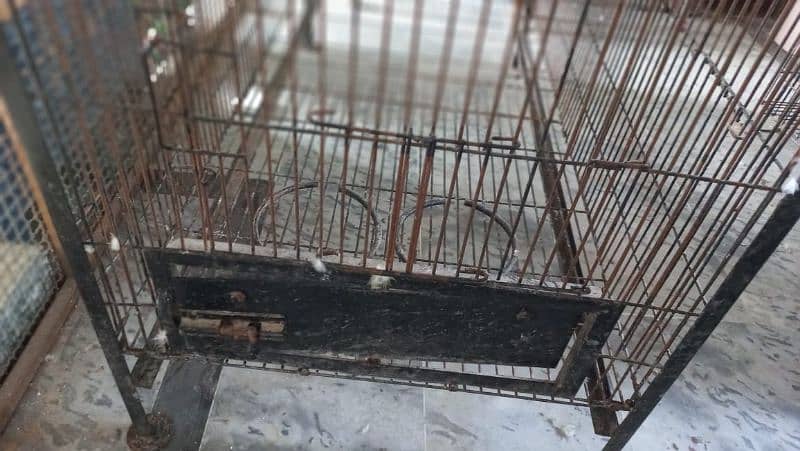 cage for sale raw parrot 0312 5044966 0