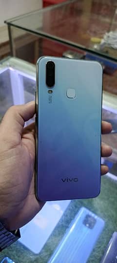 vivo