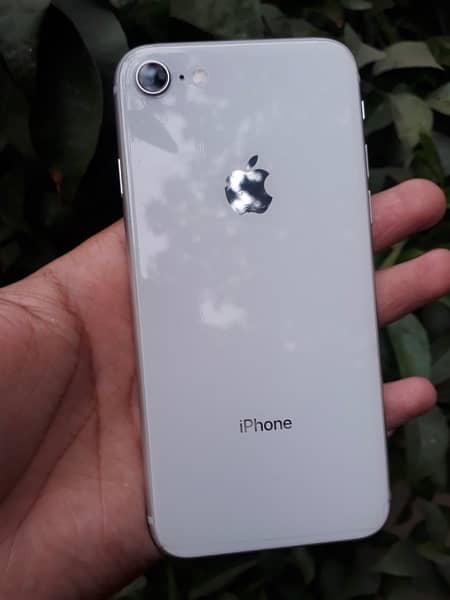 iphone 8 white colour 0