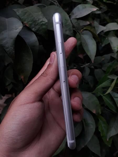 iphone 8 white colour 1