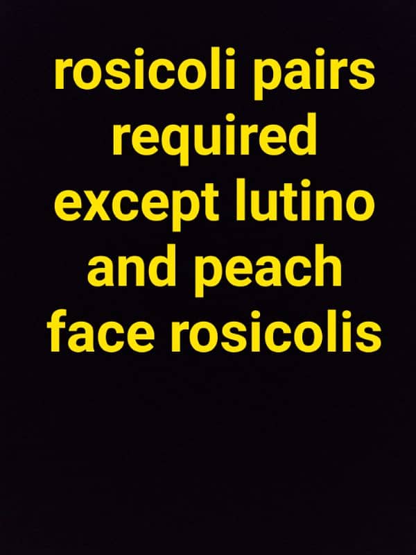 rosicoli breeder pair required 0