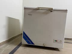 Haier Freezer