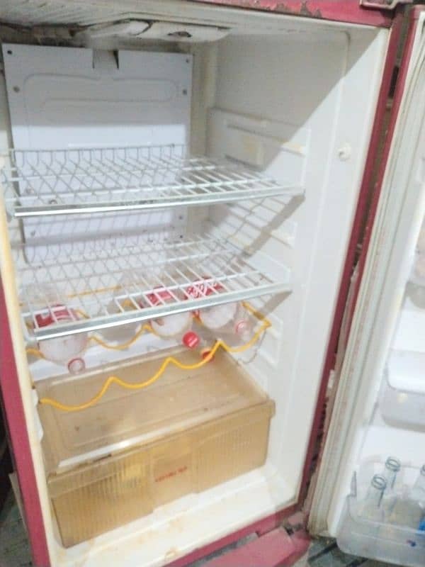 Pel Refrigerator 1