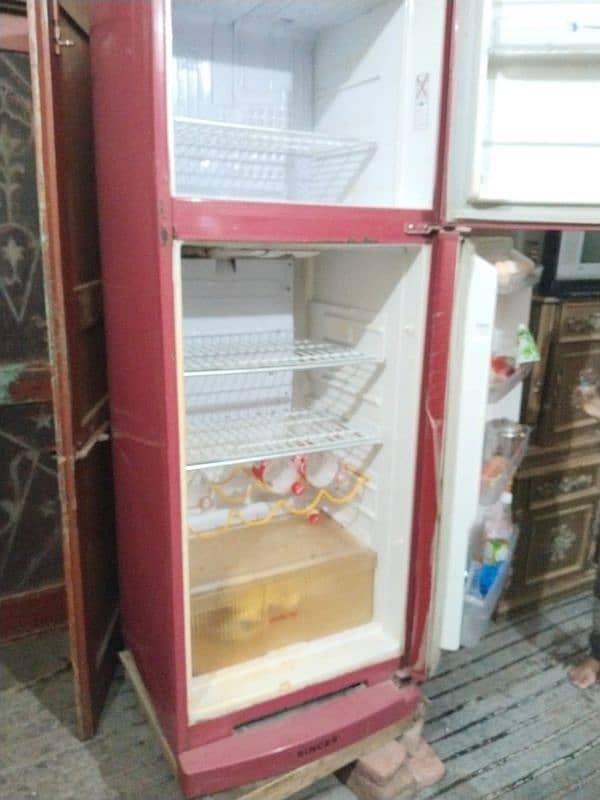 Pel Refrigerator 2