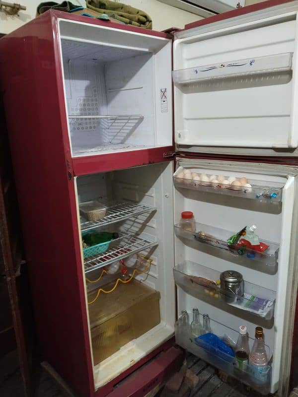 Pel Refrigerator 3