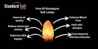 Pink Salt Lamp Himaliyan Pink Anti Allergy Lamps Free Home Delivery 4