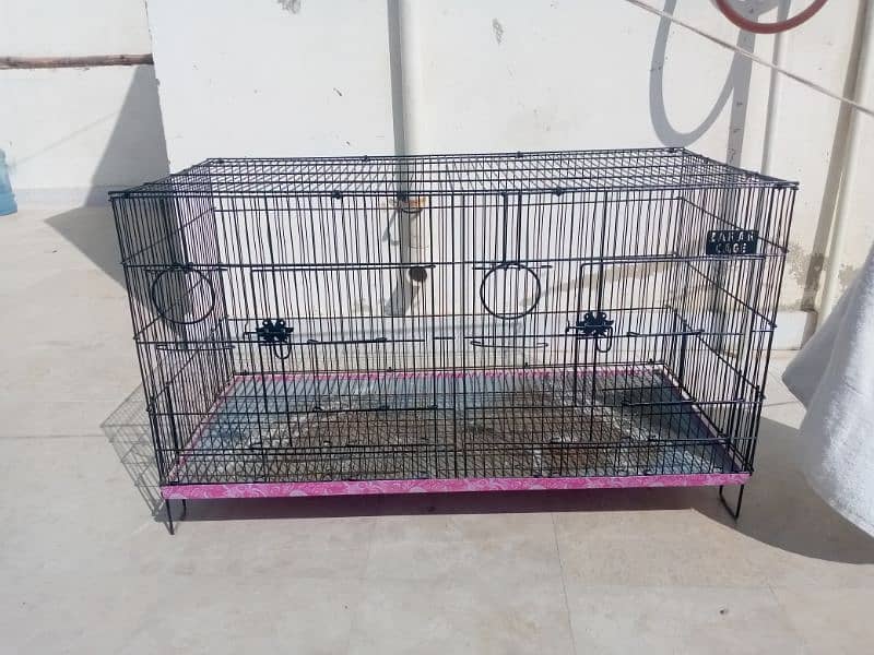 Birds Cage. 0