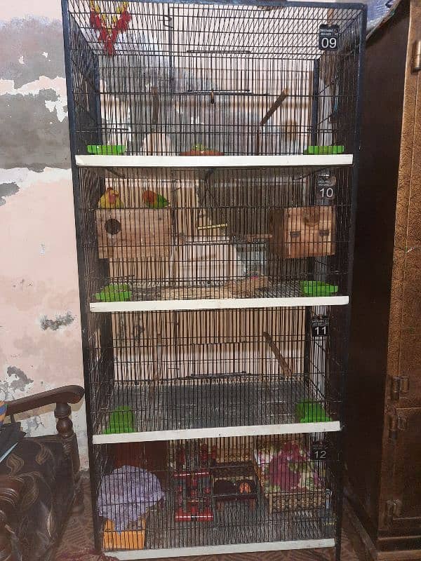 cage for sale 10by10 condition 0