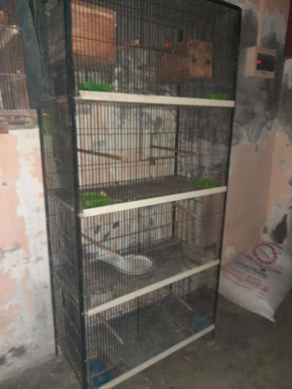 cage for sale 10by10 condition 3