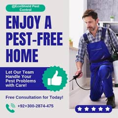 Termite Treatment Fumigation Services available