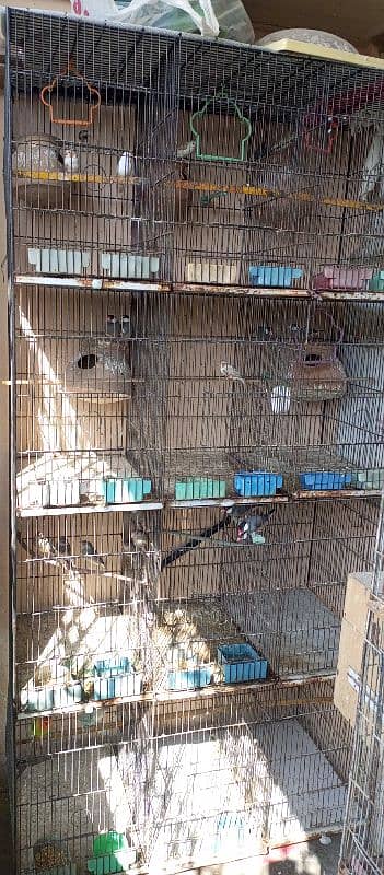 12 portion cage for sell 0