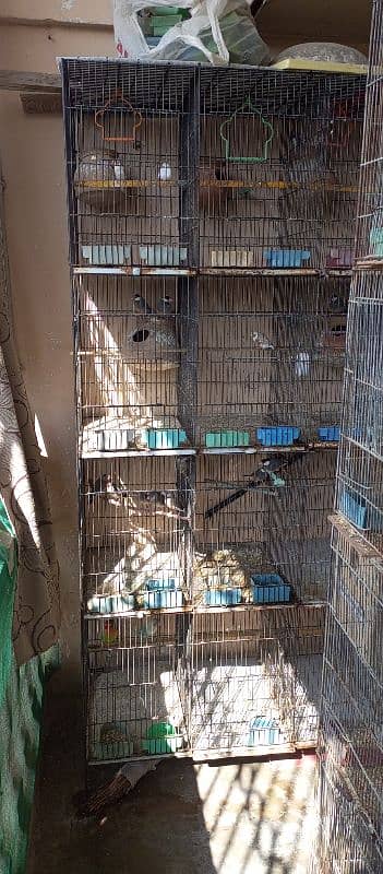 12 portion cage for sell 1