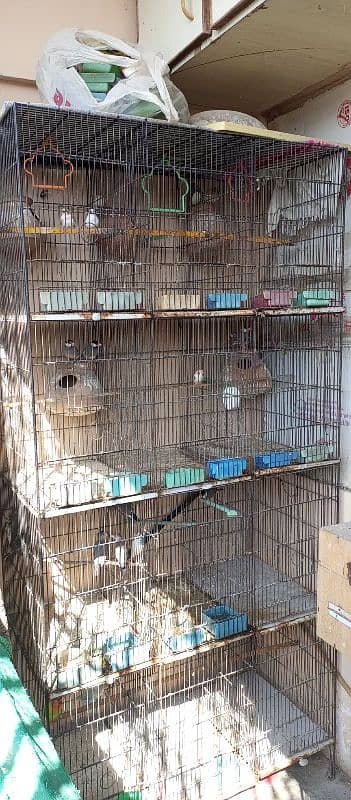 12 portion cage for sell 2