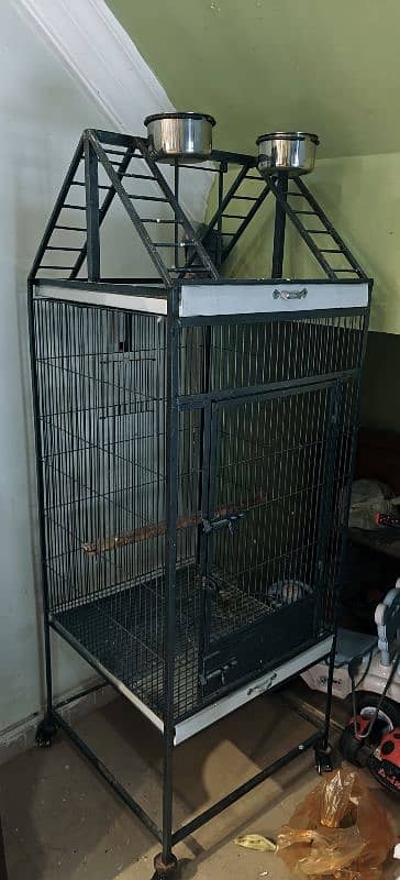 African Gray Huge Cage For Sale 1