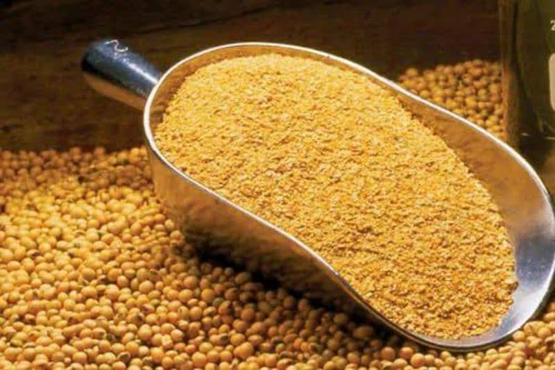 soyabean,canola,toria,fish-meal,gluten,premix,corn,DCP,molasses,chokar 1