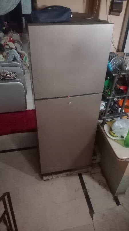 Refrigrator and Freezer 10