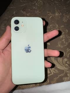 iphone 12 pta