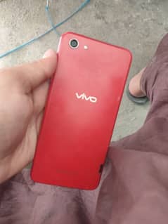 vivo