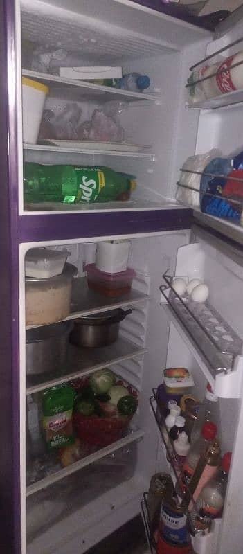 bilkul new fridge haa bus pason kii jarorat haa 1