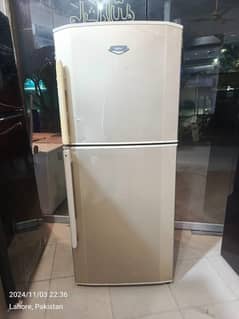 Haier fridge large size  (0306=4462/443) okayset