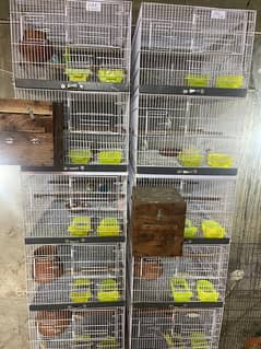 5 portion bird cage for sale